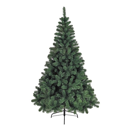 Albero natale tipo - natale, pino