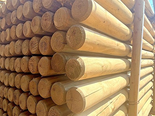 Pali tondi legno senza - tondi,