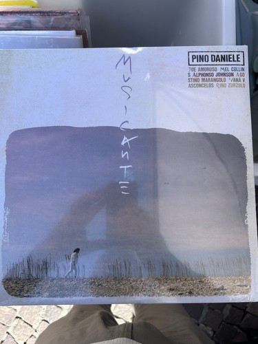 Pino daniele musicante - pino,