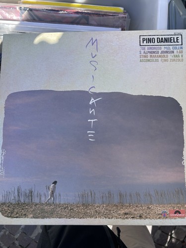 Pino daniele musicante - pino,