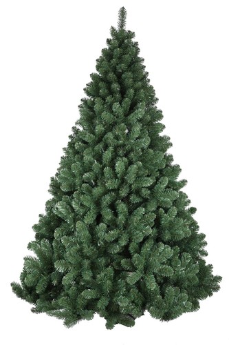 Albero natale pino - albero,