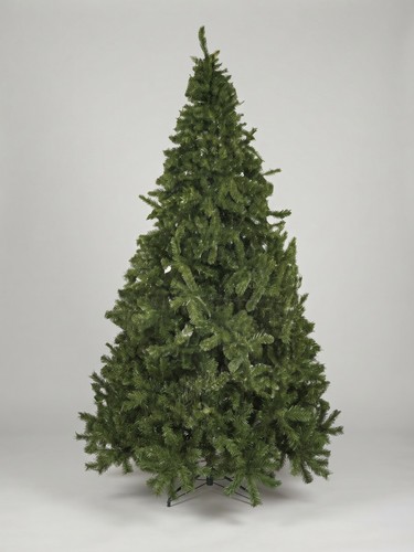Albero natale pino - albero,