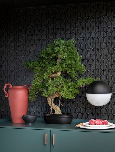 Bonsai pino con vaso - pino, ceramica