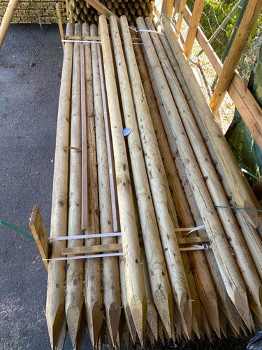 Pali legno pino palo - pino,