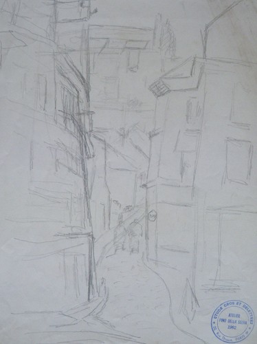 Pino della selva - della,